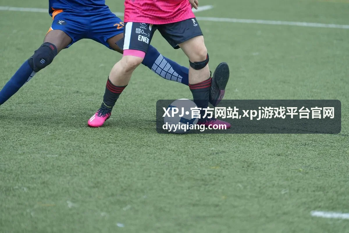 XPJ·官方网站平台资讯说明封面